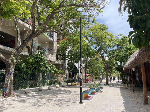 place photo 21