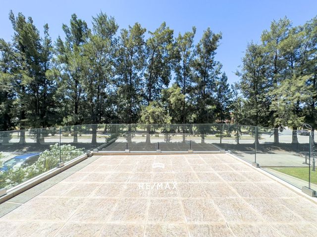 place photo 45