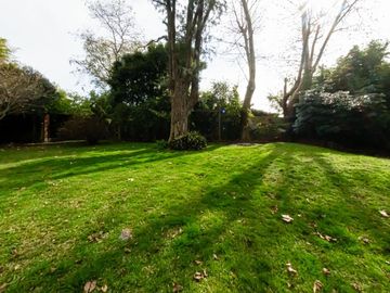place photo 54