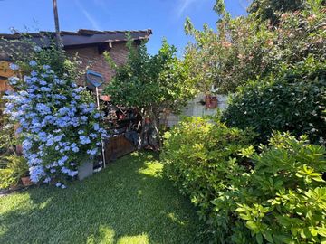 place photo 38