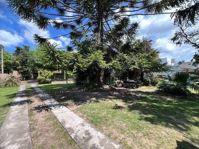 place photo 38
