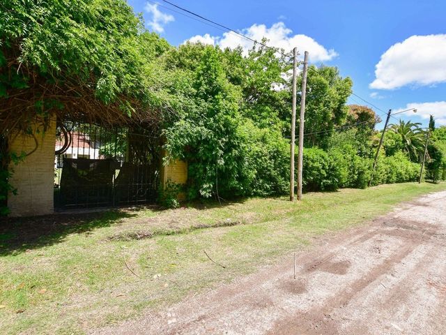 place photo 18