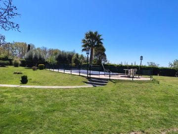 place photo 19
