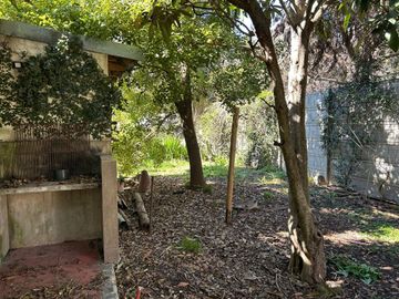 place photo 33