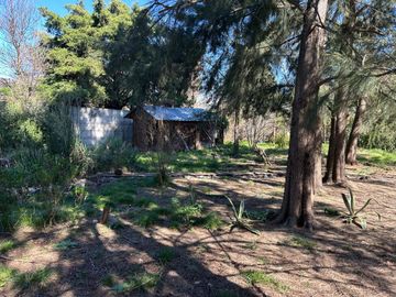 place photo 23