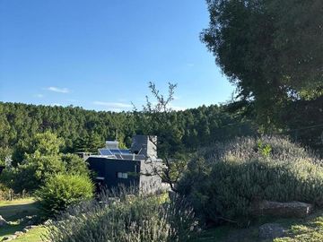 place photo 57