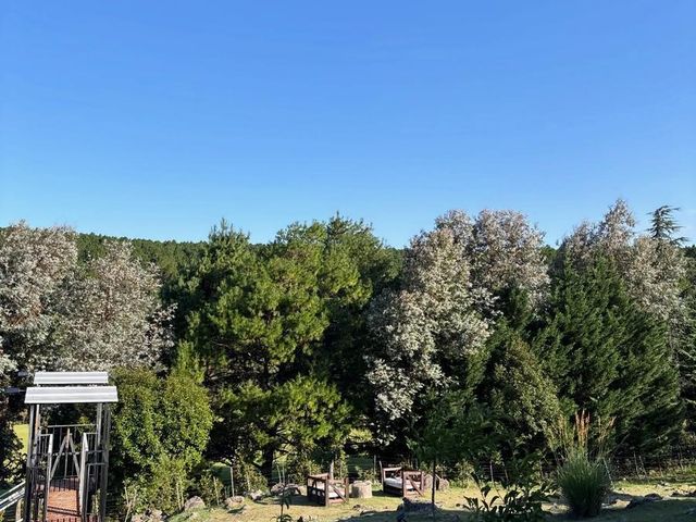 place photo 48