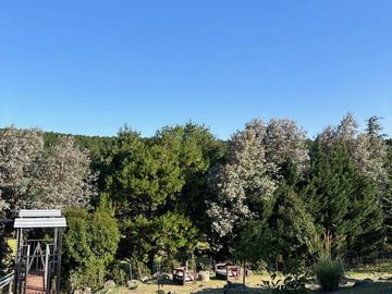 place photo 48