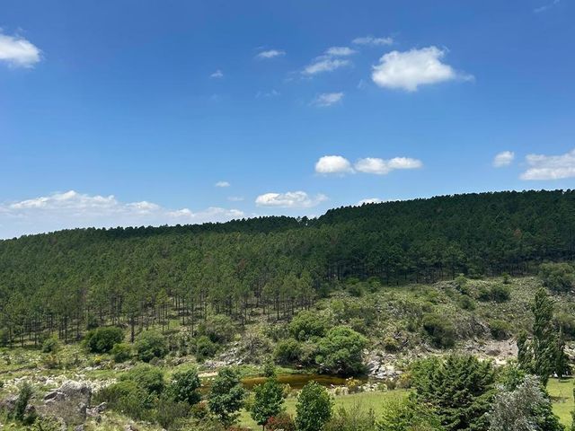 place photo 37