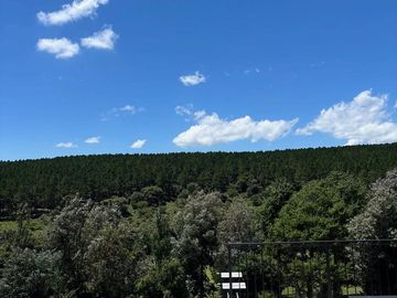 place photo 52