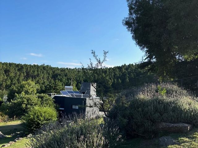 place photo 49