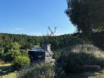 place photo 49
