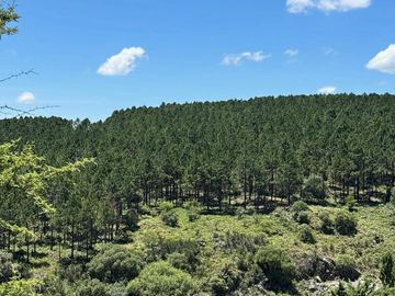 place photo 46