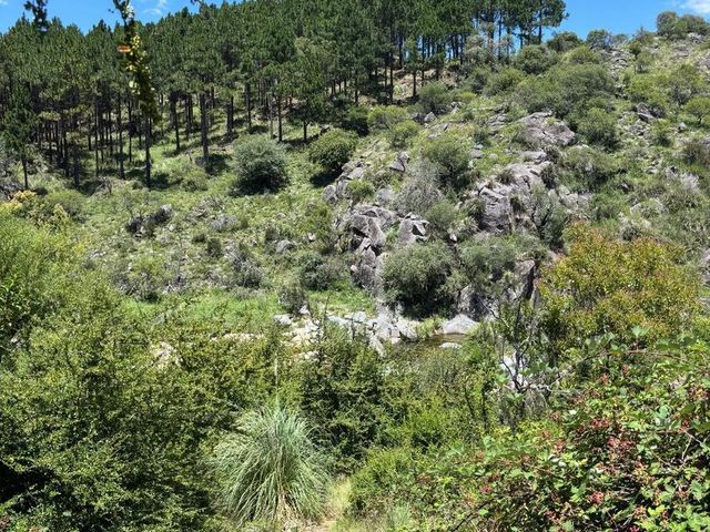 place photo 47