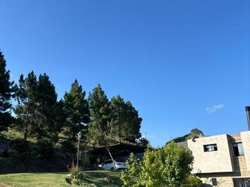 place photo 61