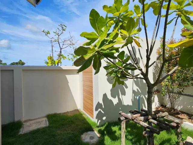 place photo 29