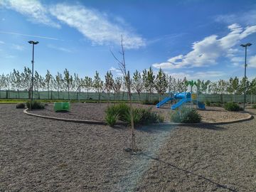 place photo 26