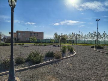 place photo 27