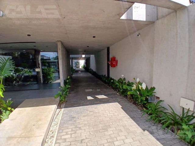 place photo 35