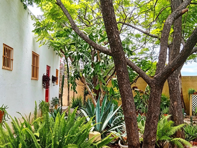 place photo 7