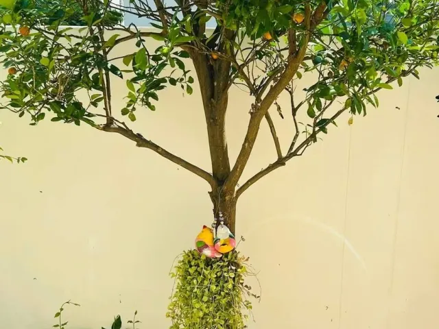 place photo 18