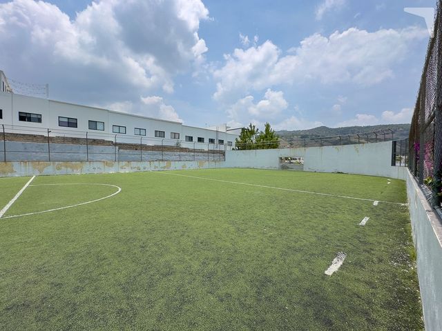 place photo 19