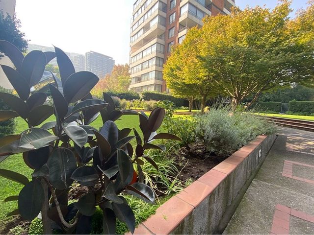 place photo 45