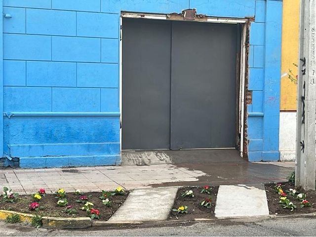place photo 19