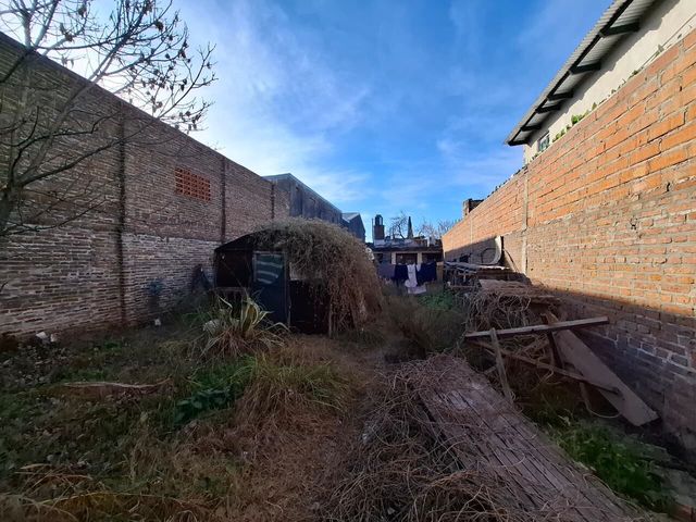 place photo 17