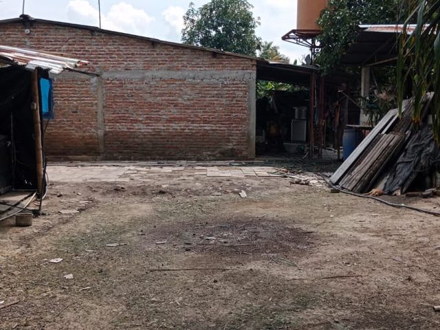 place photo 13