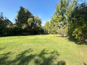 place photo 31