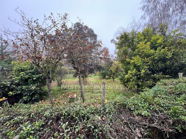 place photo 71