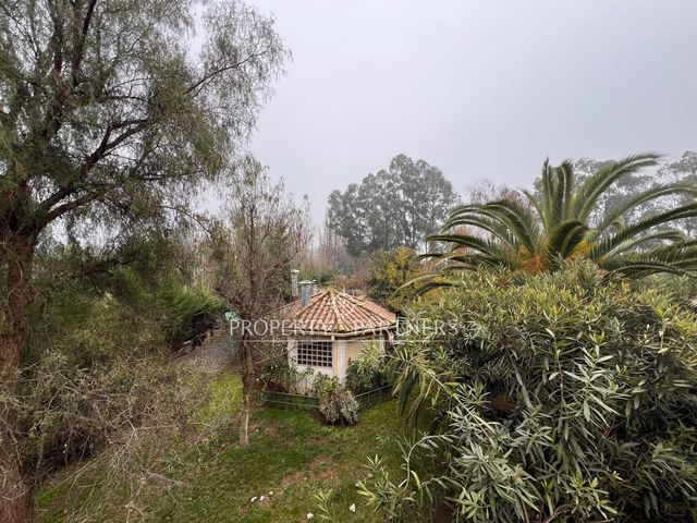 place photo 60