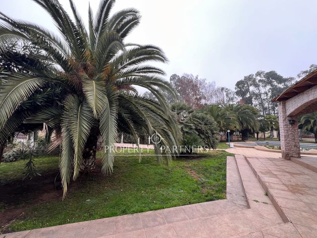 place photo 67