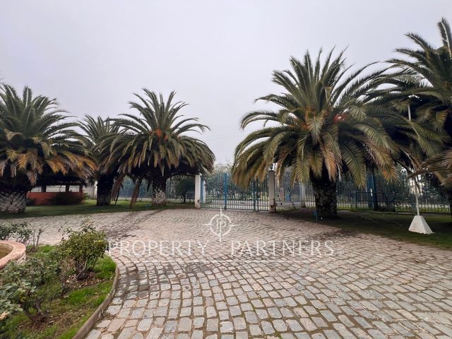 place photo 81
