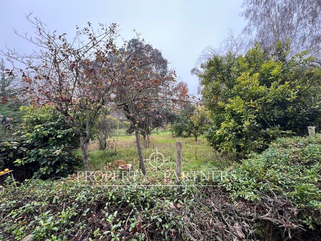 place photo 71