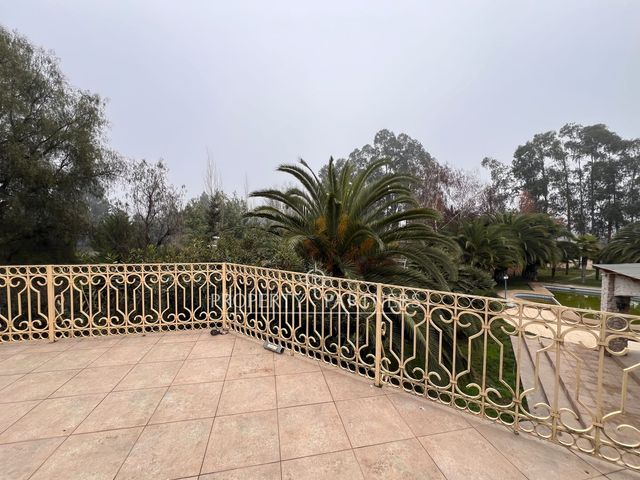 place photo 58