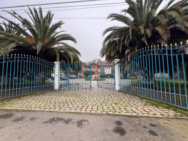 place photo 82