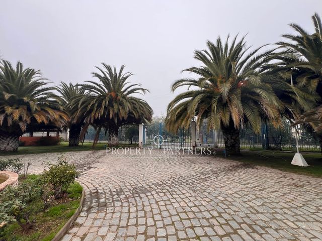place photo 81