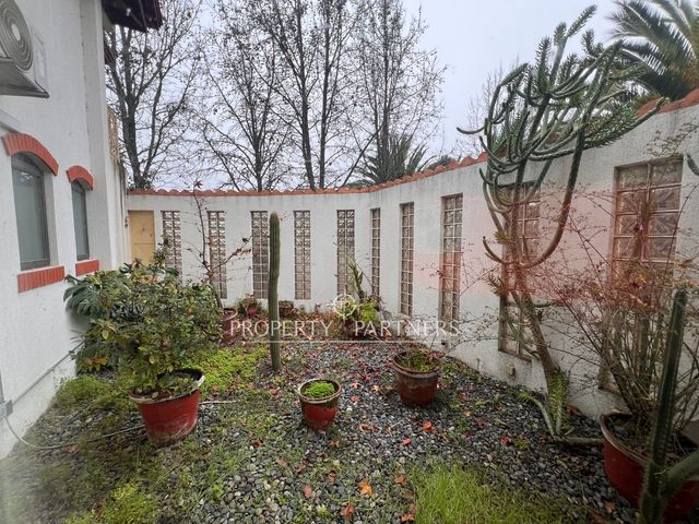 place photo 64