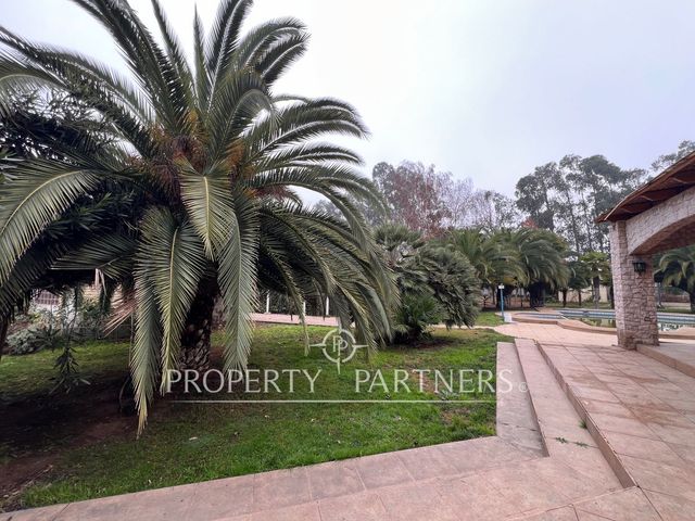 place photo 67
