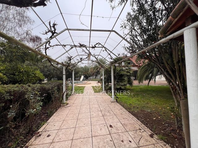 place photo 72