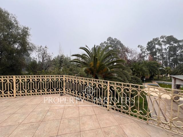 place photo 58