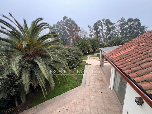 place photo 61
