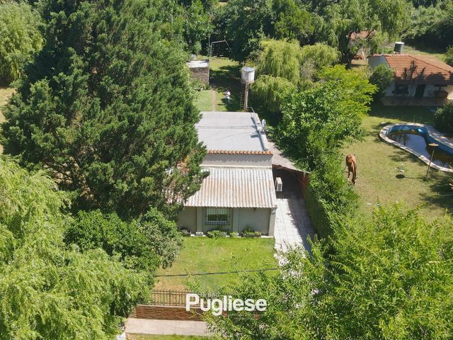 place photo 18
