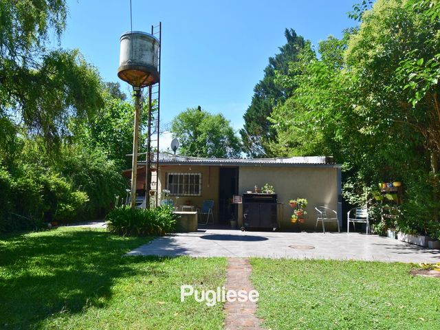place photo 14