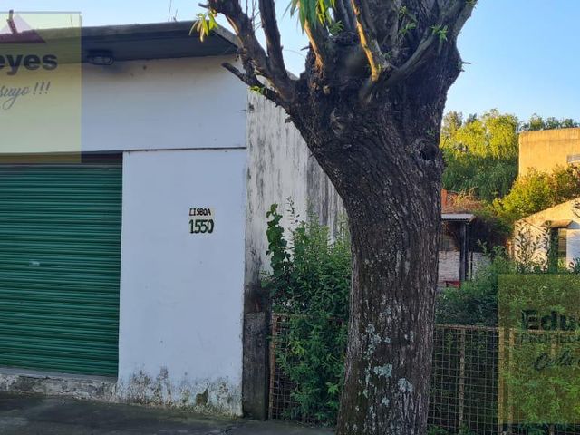 place photo 17