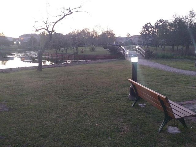 place photo 71