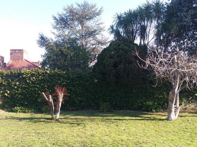 place photo 43