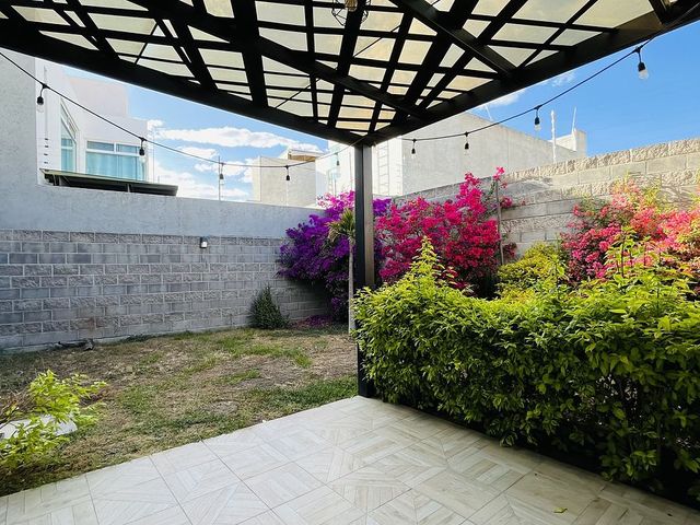 place photo 30